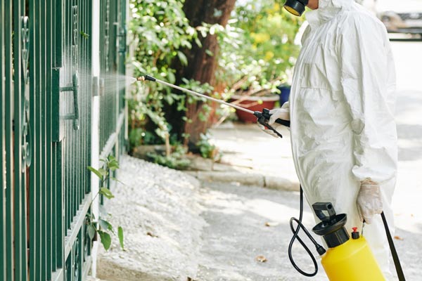 control de plagas comunidad de vecinos